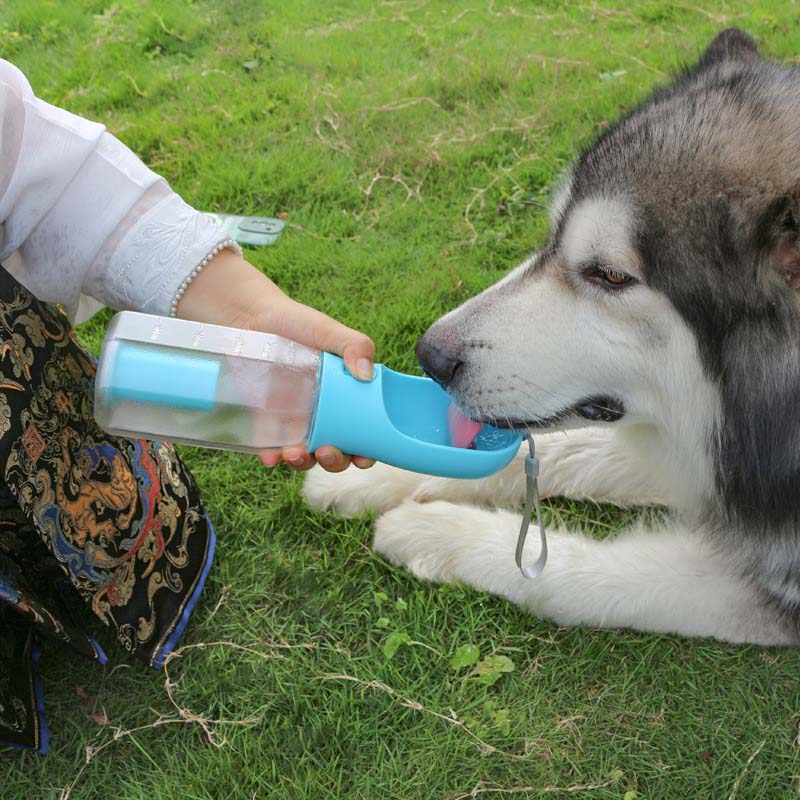 Botella de agua portátil multifuncional 3 en 1 para pasear al perro