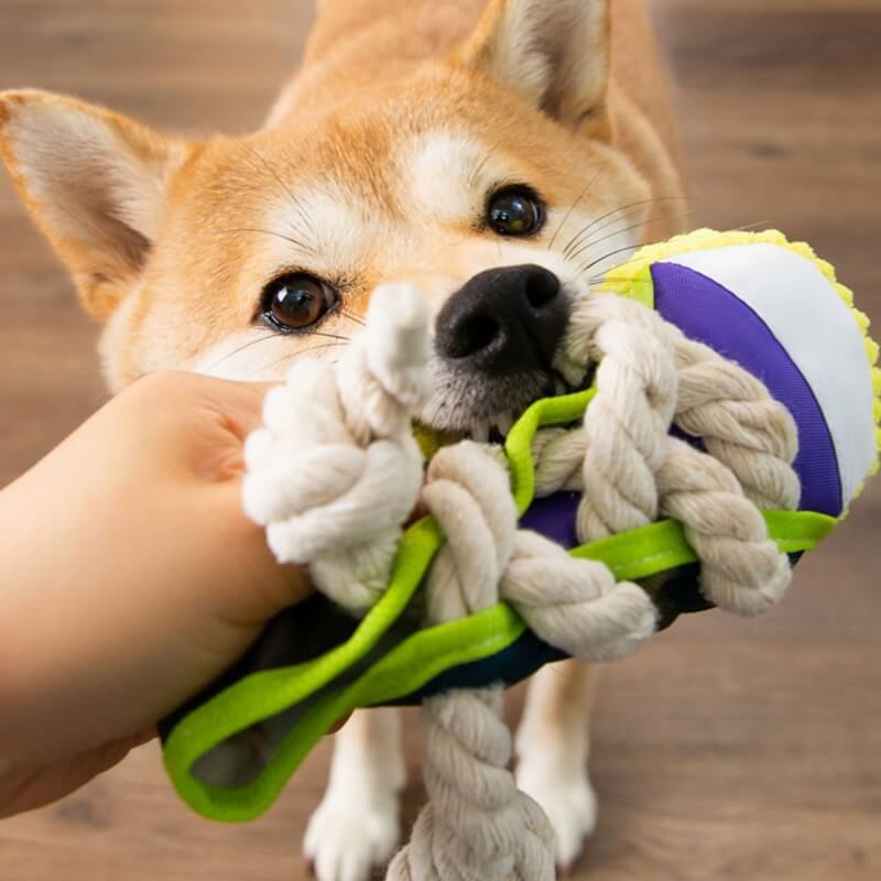 Juguete para perros de algodón con forma de zapatilla para la dentición