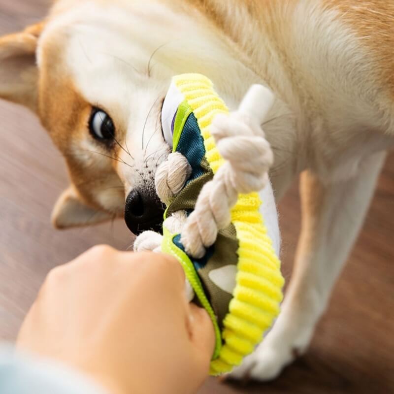 Juguete para perros de algodón con forma de zapatilla para la dentición