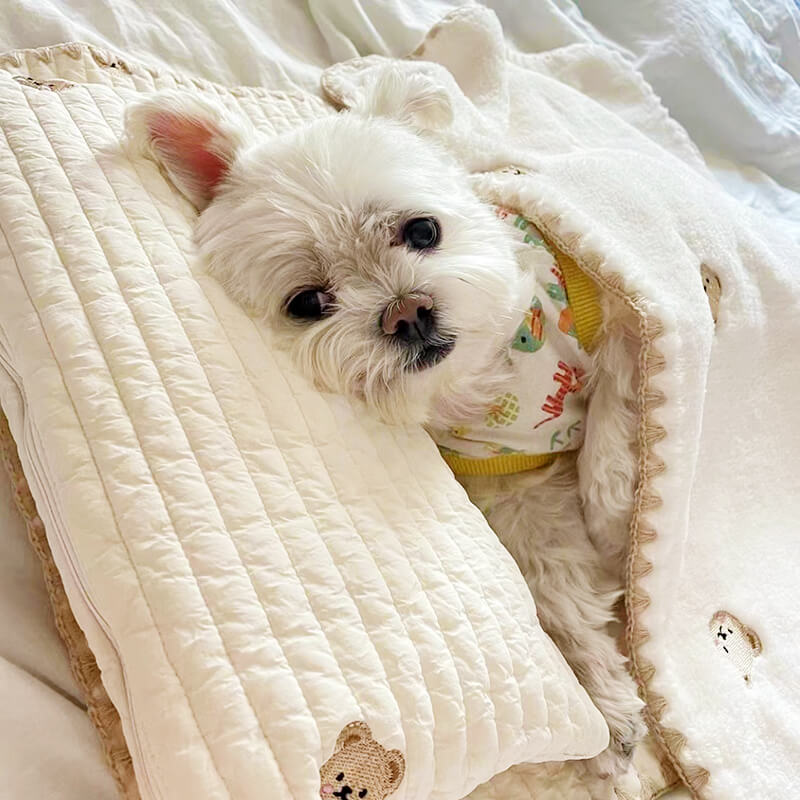 Conjunto de Cama Acolchada de Almohada para Mascotas de Algodón Bordado y Acogedor