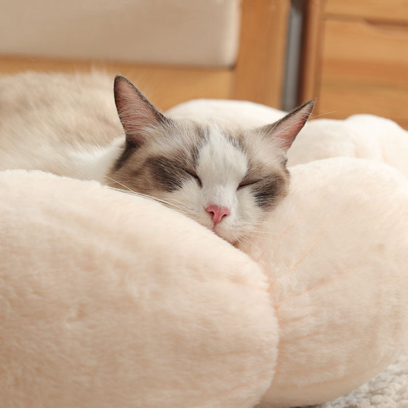 Cama para gatos con forma de flor para dormir profundamente