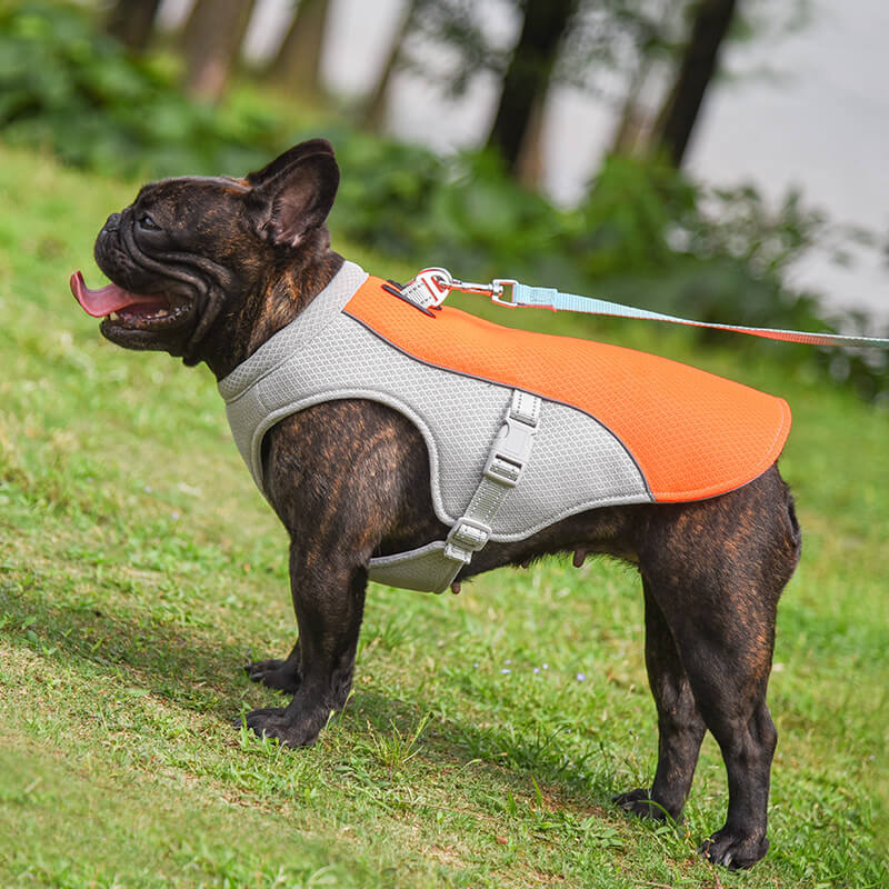 Chaleco transpirable para la prevención de insolaciones Chaleco de enfriamiento para perros empapado en agua