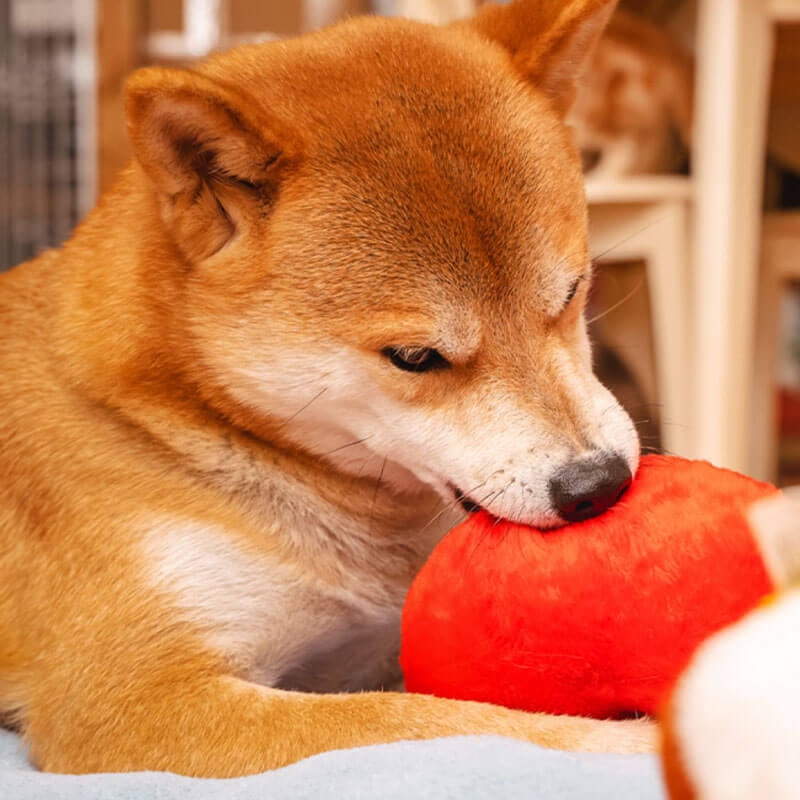 Juguete de perro chirriante de felpa divertido - Butt