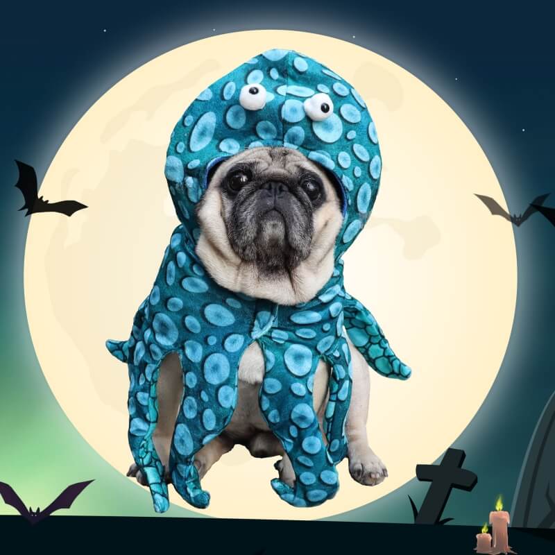 Disfraz de transformación de mascota de Halloween Disfraz de perro pulpo parodia