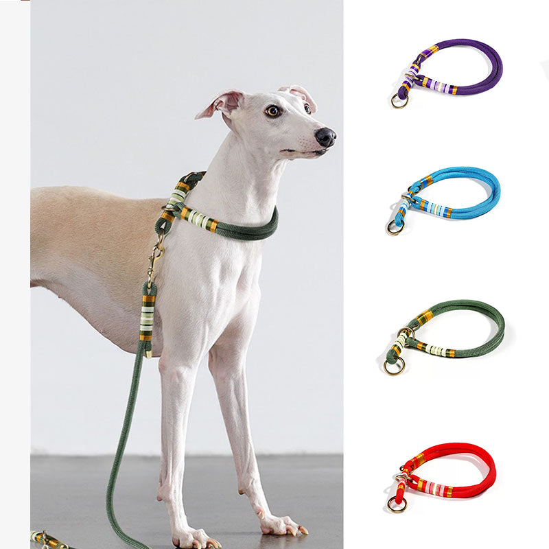 Cuerda trenzada con mano sin tirón accesorios para perros frescos collar de entrenamiento