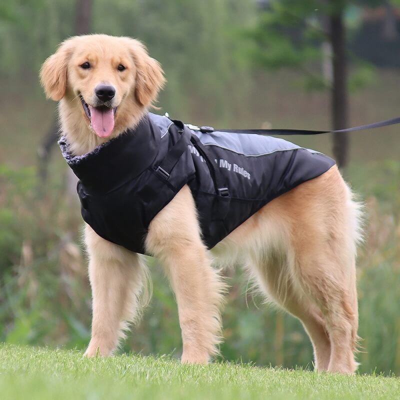 Chaqueta de accesorios para perros frescos y cálidos con cuello alto, abrigo de algodón grueso y fresco para accesorios para perros