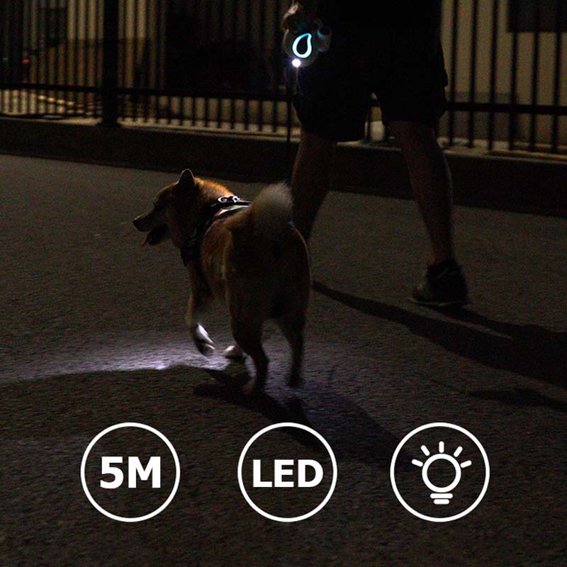 LED largo retráctil Cool Dog accesorios correa de entrenamiento