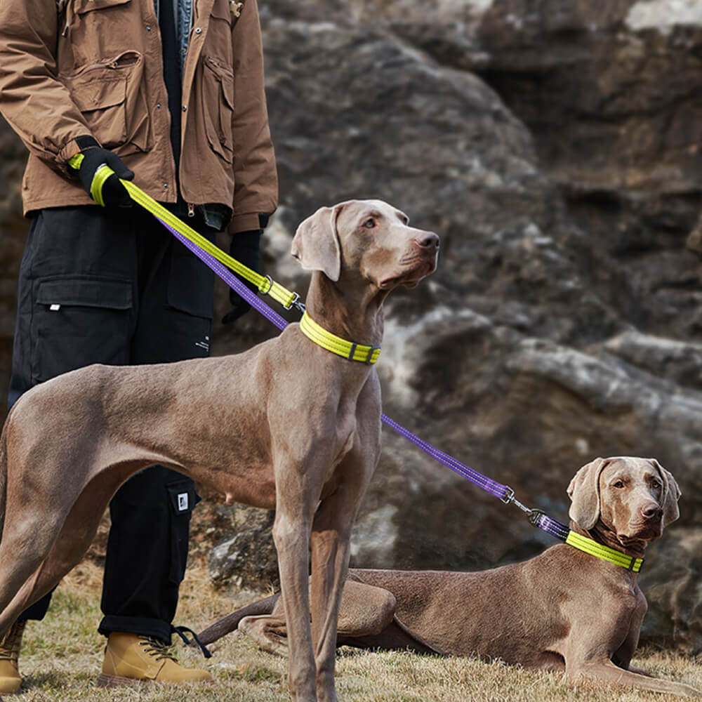 Multi-Function Hands Free Double-Ended Adjustable Dog Leash