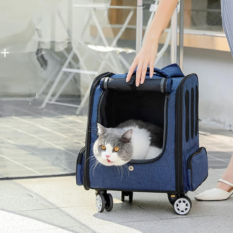 Mochila plegable multiusos de viaje para gatos, estuche con ruedas para mascotas