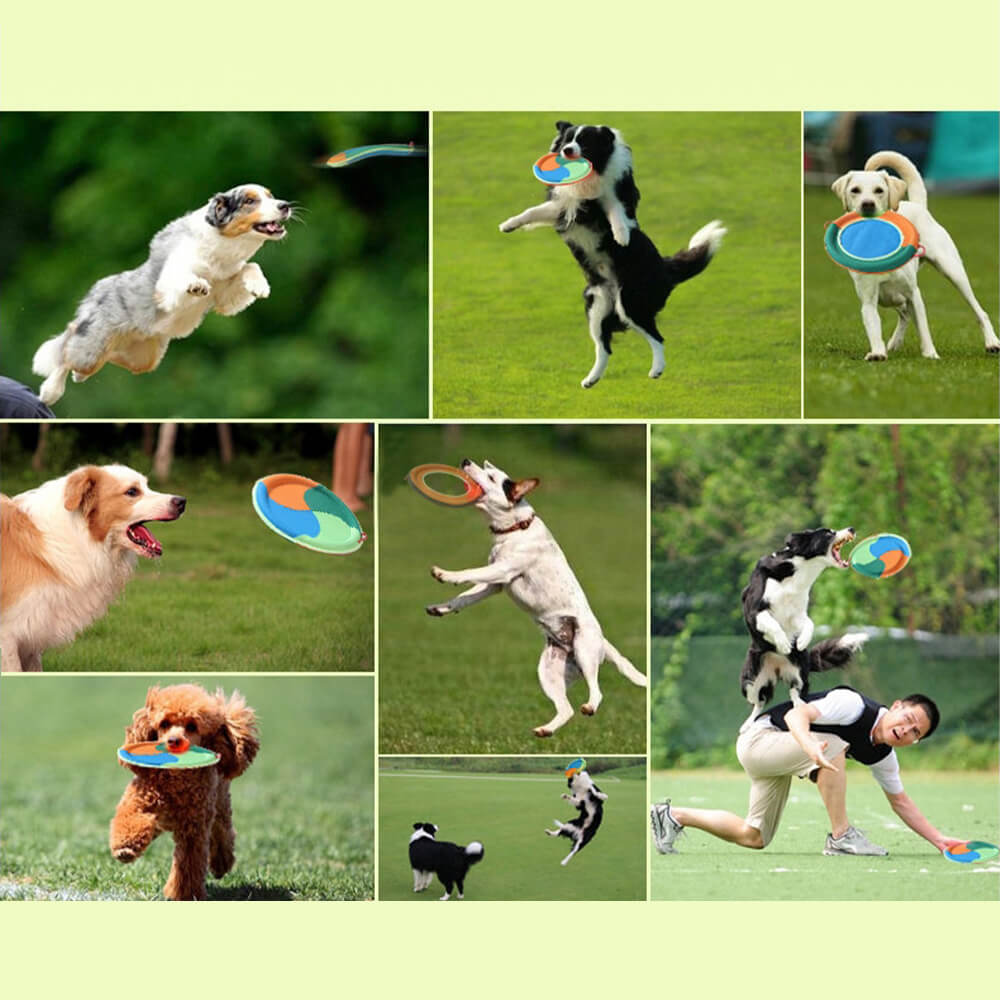 Juguete interactivo para perros al aire libre, disco volador duradero de tela Oxford para perros