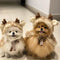 Ropa de ropa de mascotas Cape de cape y gato disfraces de perros de lujo regalos