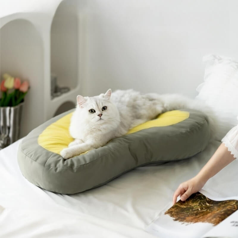Estera para dormir extra gruesa para mascotas Reloj Cama para perros y gatos
