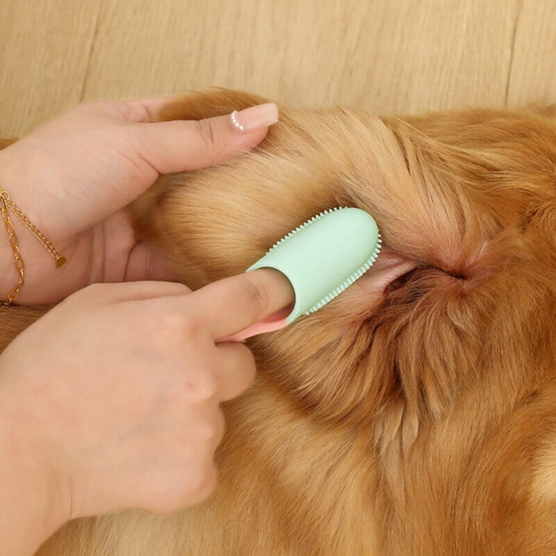 Cepillo de dientes para mascotas Cepillo de dientes para limpieza de dientes