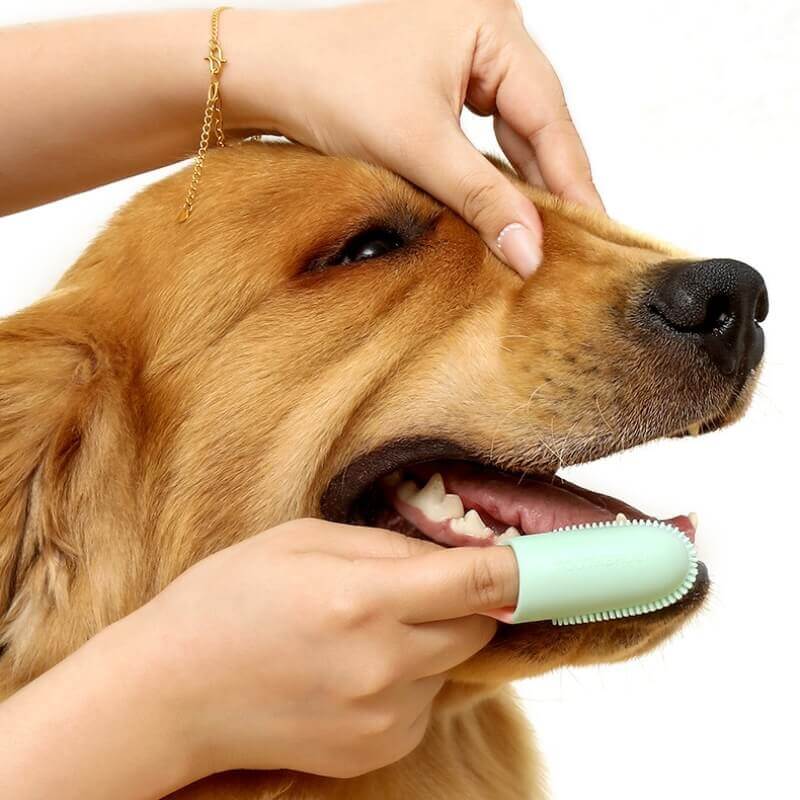 Cepillo de dientes para mascotas Cepillo de dientes para limpieza de dientes