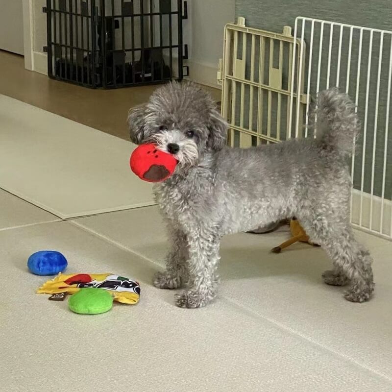 Juguetes de peluche para perros