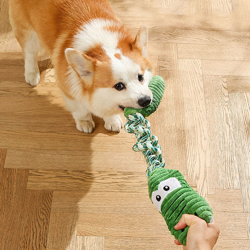 Juguete interactivo para perros con cuerda - Serie Animal