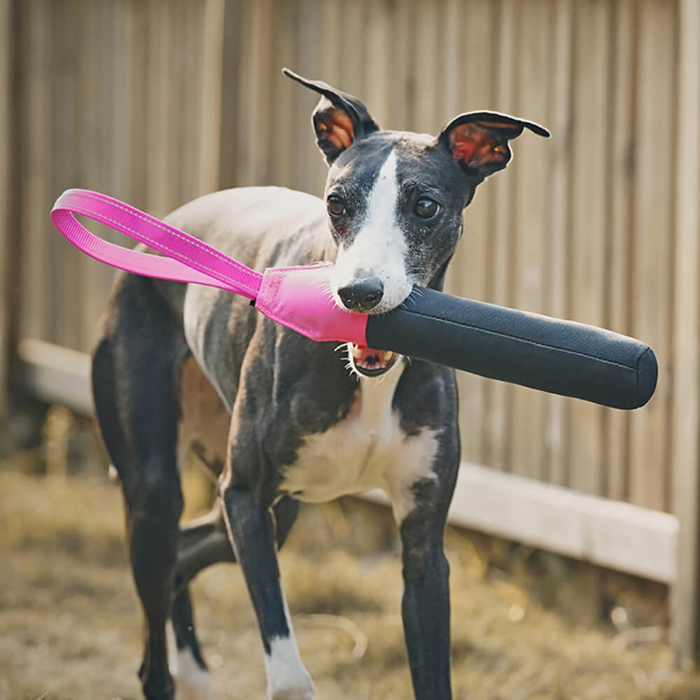 Juguete interactivo ultraduradero que flota en el agua para perros