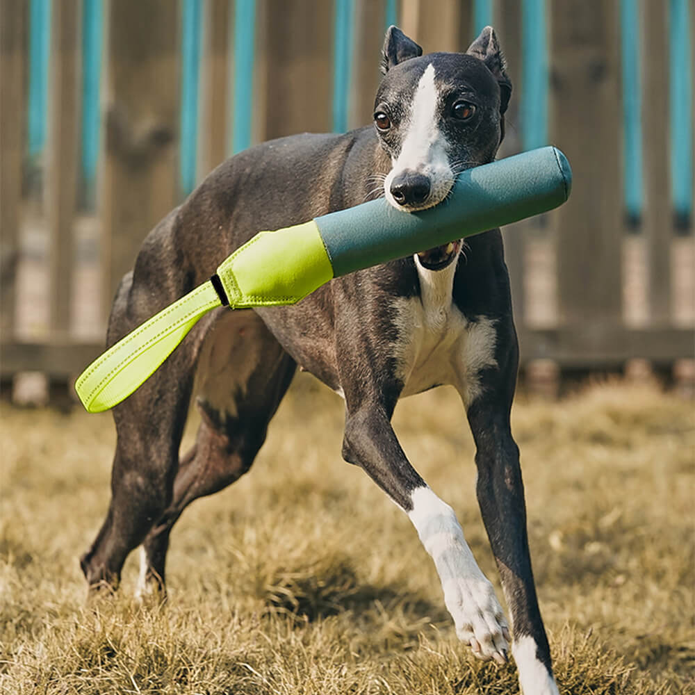 Juguete interactivo ultraduradero que flota en el agua para perros