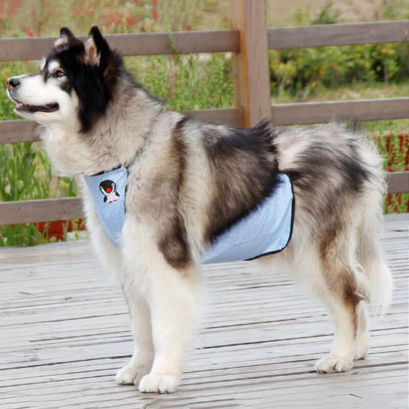 Cubierta impermeable del vientre del perro del babero de la baba del animal doméstico de la tela escocesa