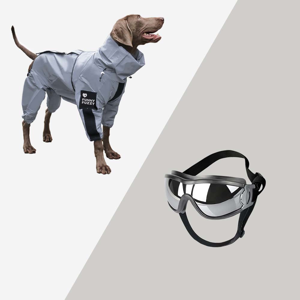 Impermeable Reflectante para Perros para Todo Clima