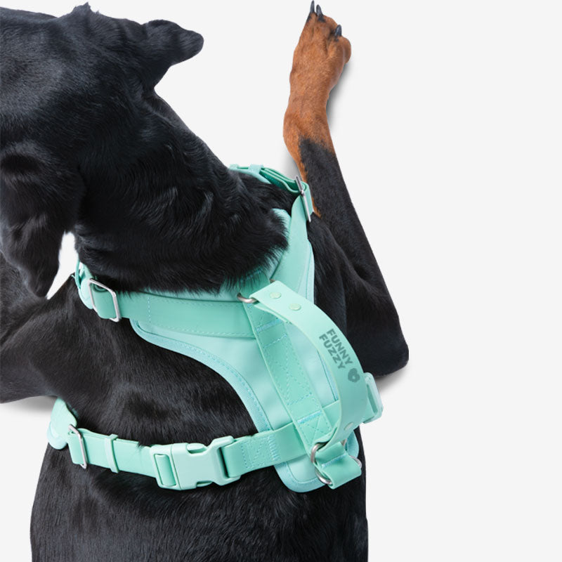 Juego de paseo con accesorios para perros