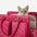 Bolsa de viaje grande, elegante, multifuncional y compartida para humanos y perros - Wandering Tail