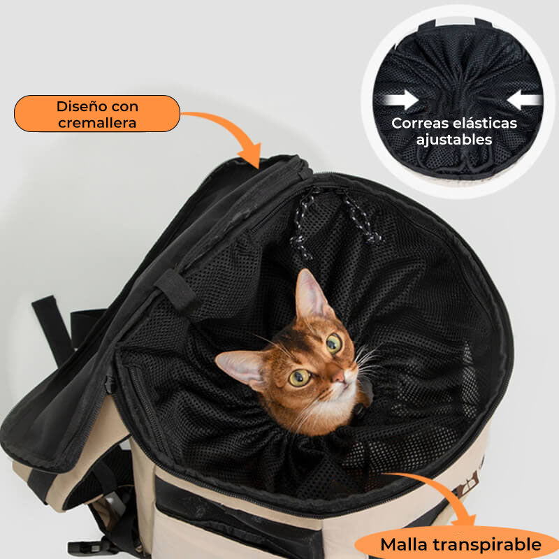 Bolsa de viaje portátil para mascotas al aire libre Mochila impermeable para gatos