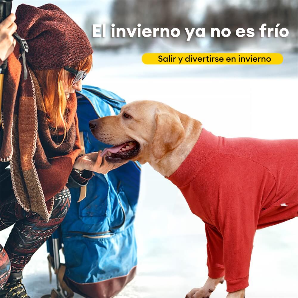 Pijamas de polar acogedores para perros: ropa de dormir perfecta para perros grandes