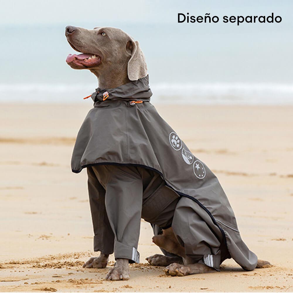 Chubasquero impermeable reflectante para exteriores para perros de cuatro patas con capucha