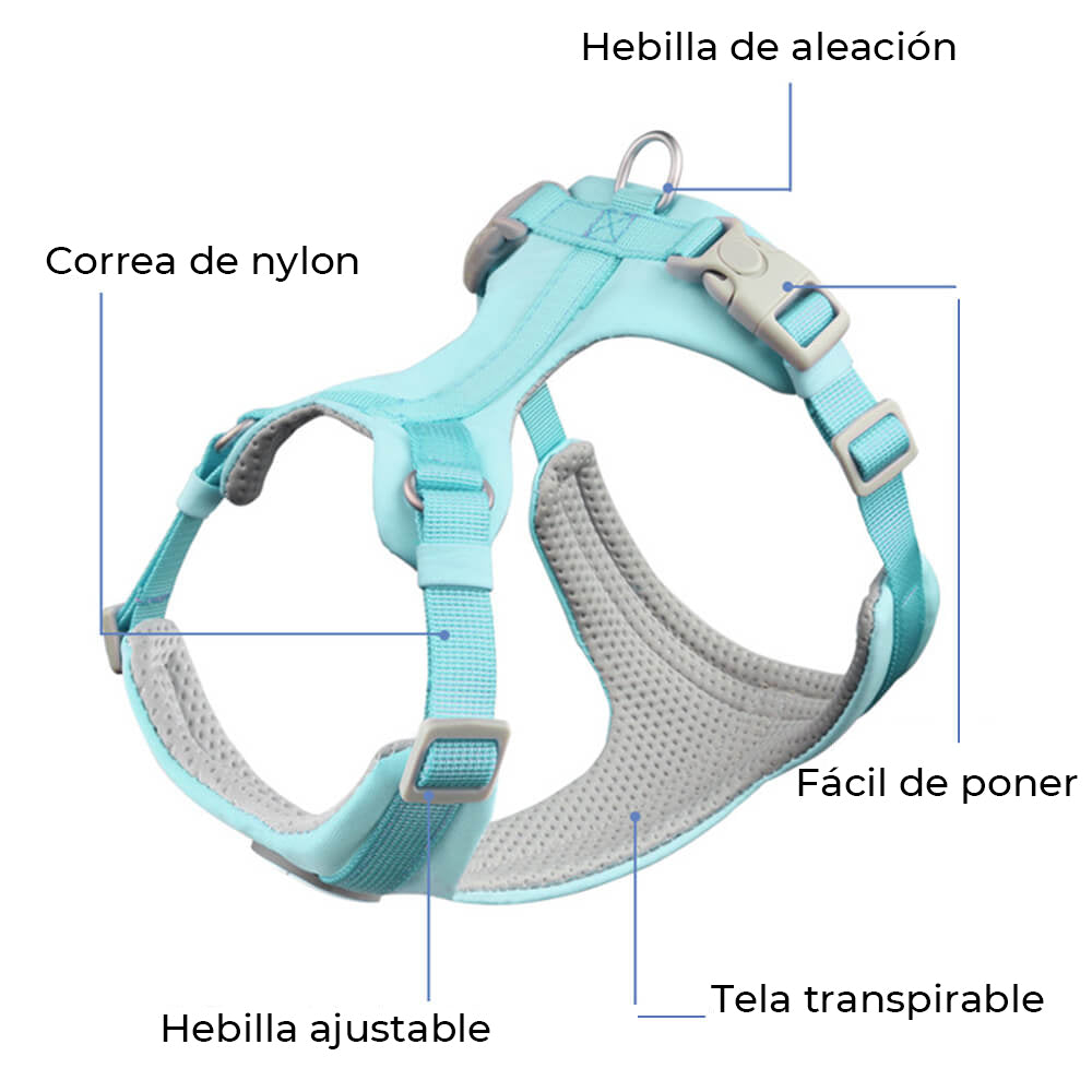 Kit de correa y arnés para perros cómodo y sin tirones de control completo