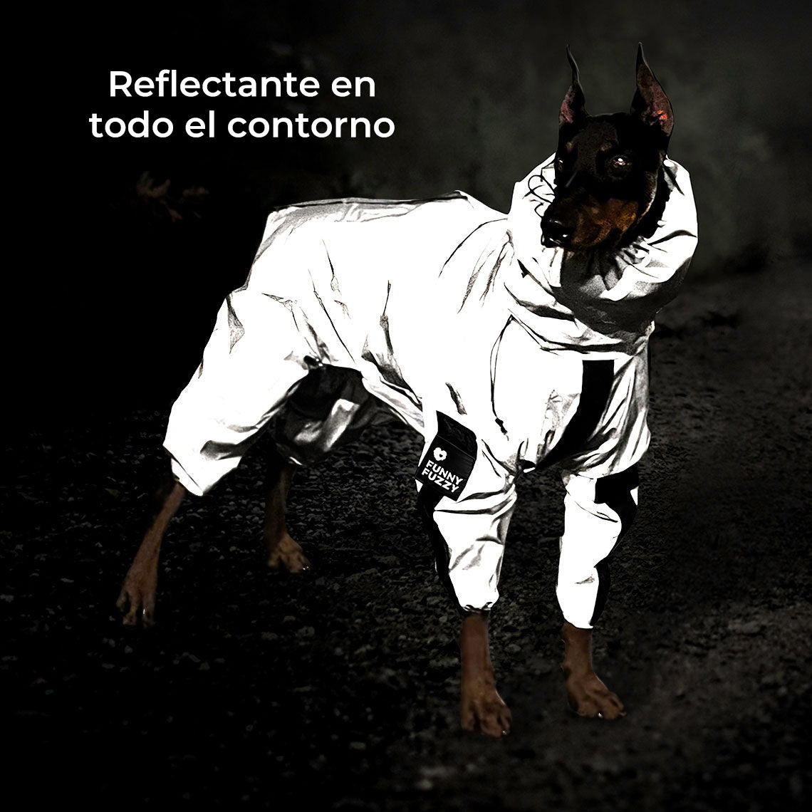 Juego Swag & Safe: Chubasquero Reflectante, Correa Multifunción 6 en 1 y Arnés Deportivo para Perros