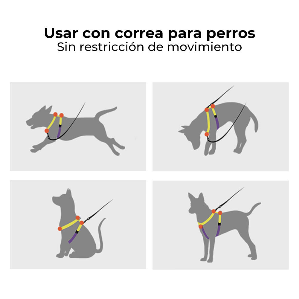 Arnés de equilibrio reflectante con cuello y hebilla Arnés para perros sin tirones