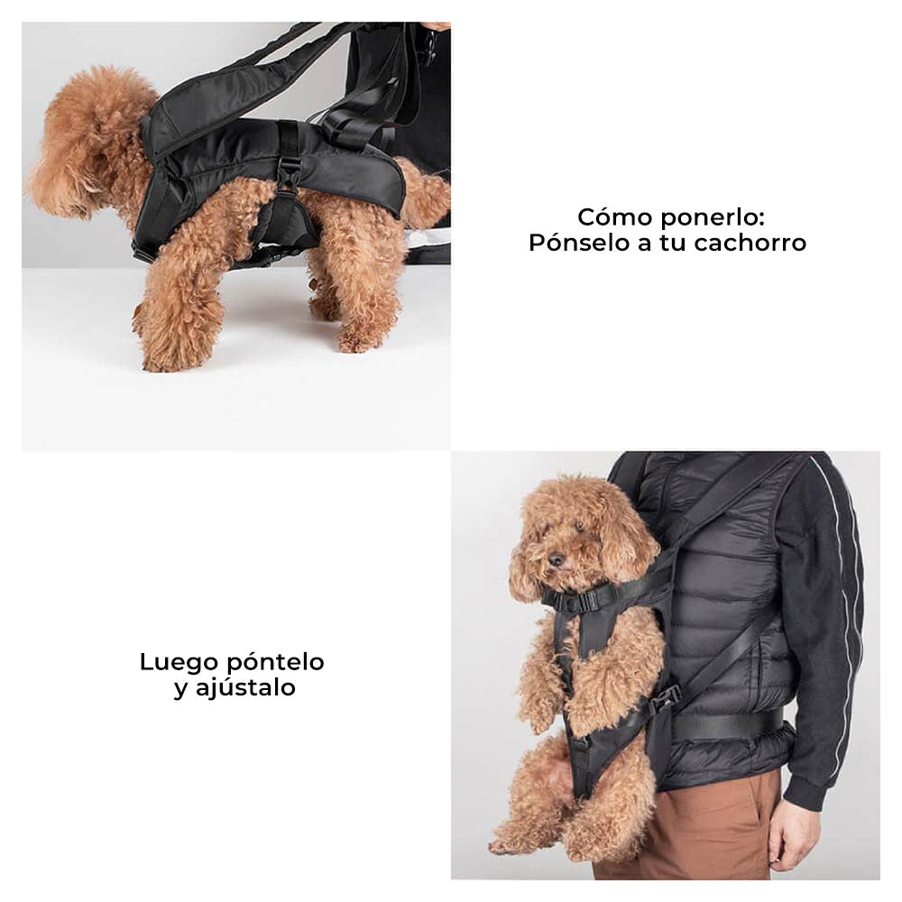 Mochila para perros y mascotas - Cabina