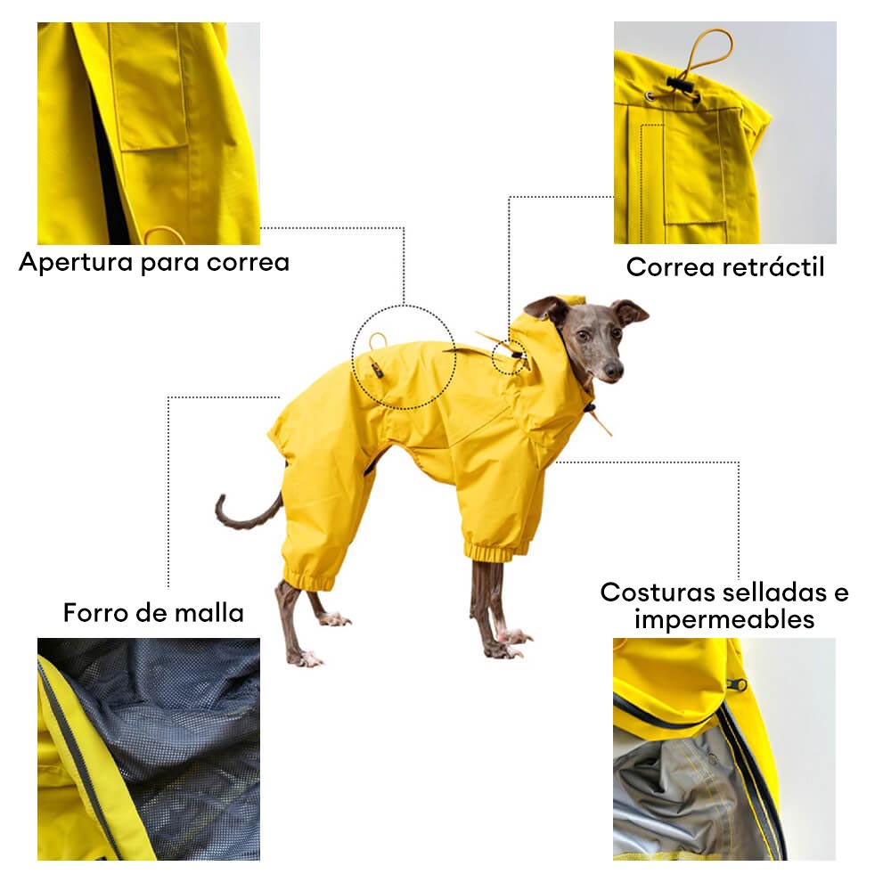 Chubasquero ligero e impermeable para perros con capucha para exteriores