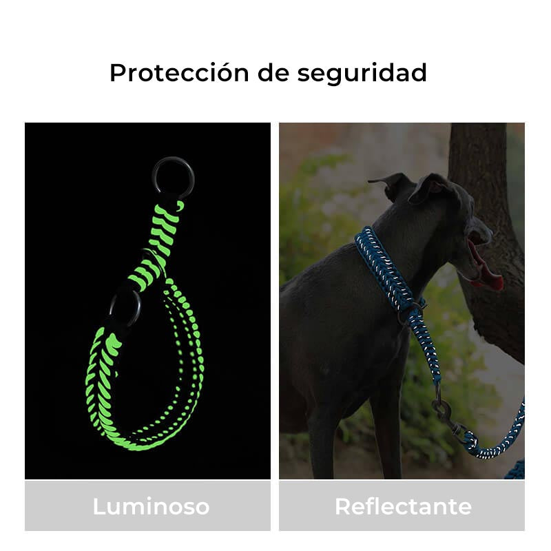 Collar y correa para perros grandes luminosos antitirones hechos a mano