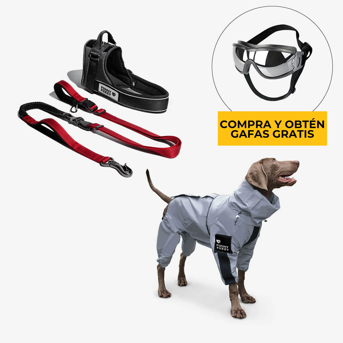 Juego Swag & Safe: Chubasquero Reflectante, Correa Multifunción 6 en 1 y Arnés Deportivo para Perros