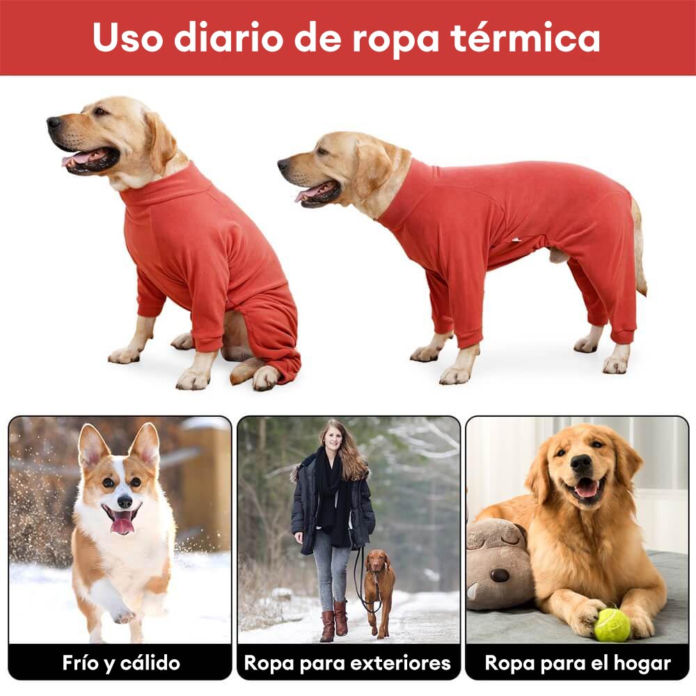 Pijamas de polar acogedores para perros: ropa de dormir perfecta para perros grandes