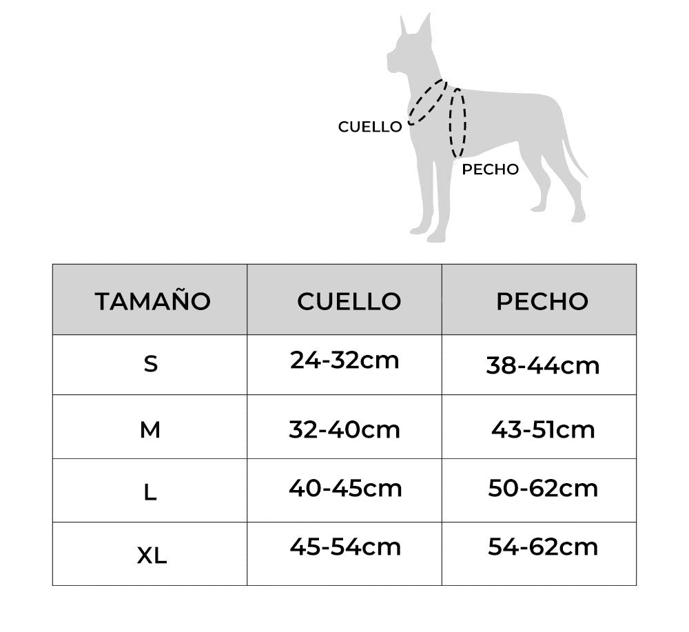 Juego de paseo con arnés para perros antitirones