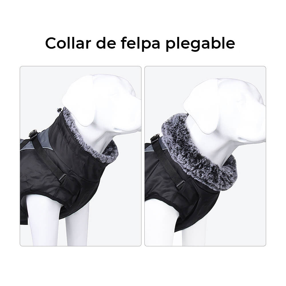 Chaqueta de accesorios para perros frescos y cálidos con cuello alto, abrigo de algodón grueso y fresco para accesorios para perros