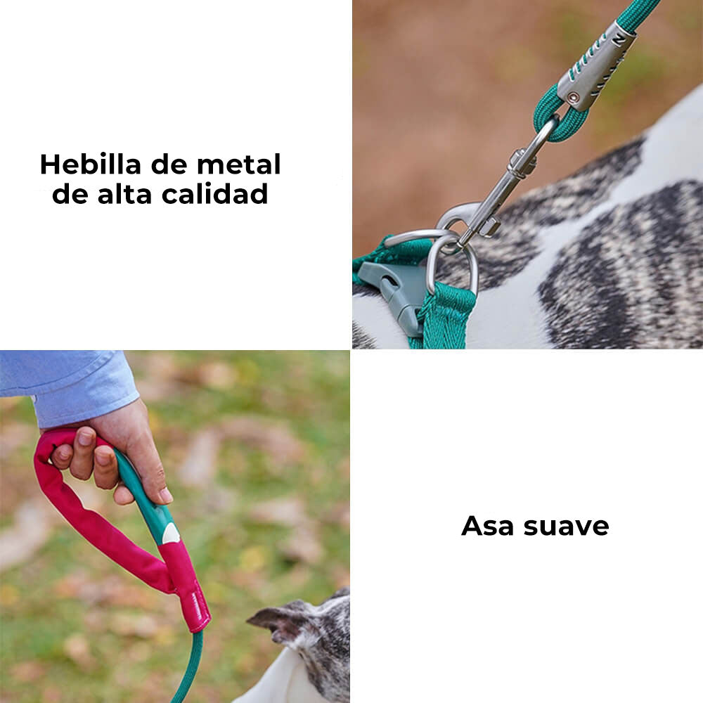 Juego de paseo con arnés para perros ajustable y sin tirones, fácil de usar