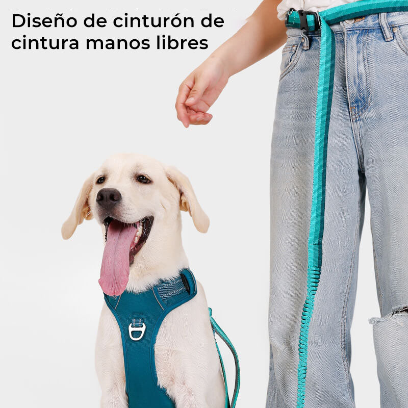 Arnés ajustable para perros, transpirable, antitirones, con correa manos libres