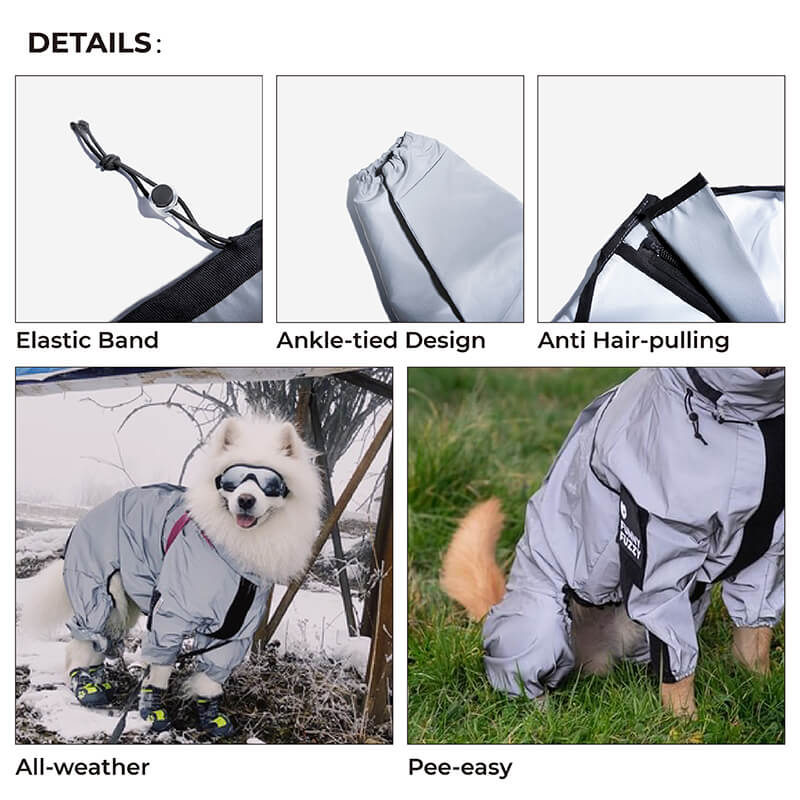 Chubasquero reflectante impermeable para todo tipo de clima, accesorios para perros geniales