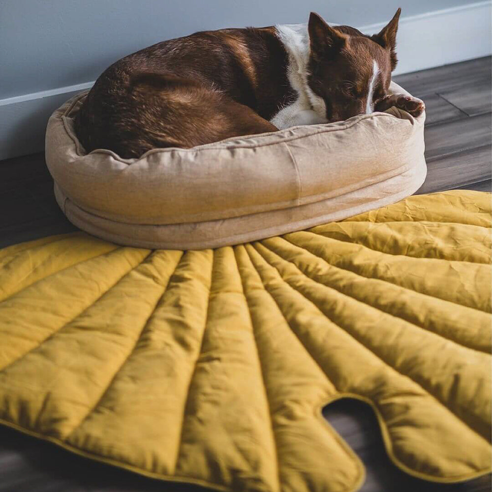 Manta para perros con forma de hoja y cama para perros con forma de donut, regalos de lujo para perros