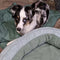 Manta para perros de forma de hoja con cama para perros de donas regalos de perro de lujo