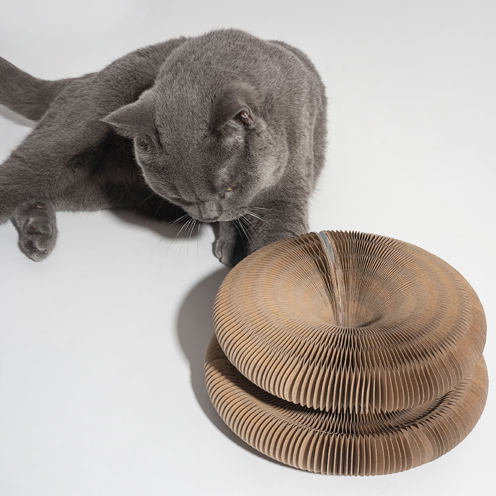 Acordeón mágico plegable duradero con tablero rascador para gatos con bola de campana