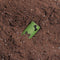 Bolsas de caca biodegradables - aroma