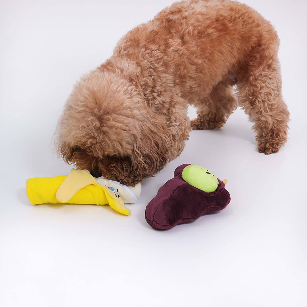 Juego de cesta de regalo de juguete para perros | Squeaky Chew Plush Treats lanza juguetes interactivos