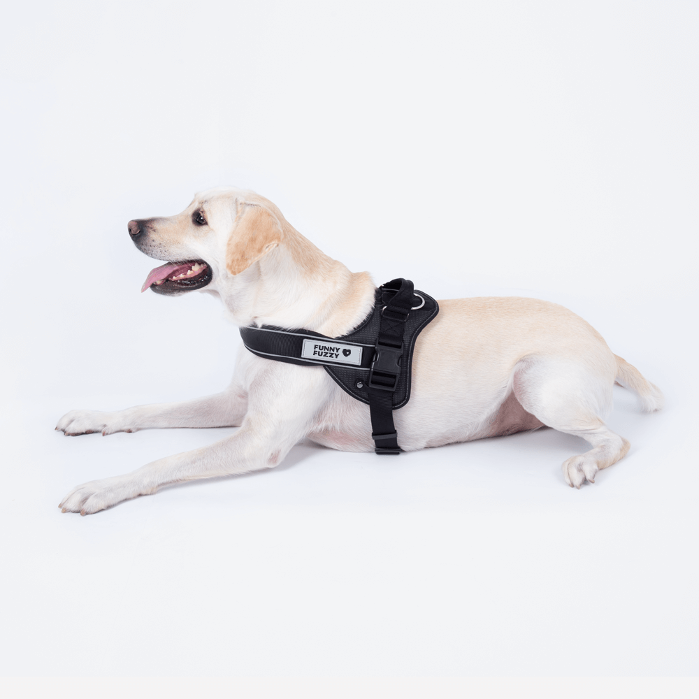 Easy-to-wear Dog Harness丨Anti Pull Large Dog Harness For Trunk with Handle